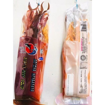 Sotong Mengabang x 20Kg